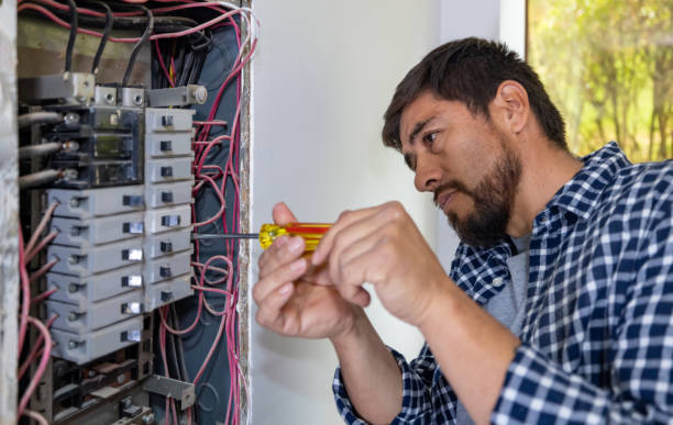 Best Electric Panel Repair  in Scotia, NY